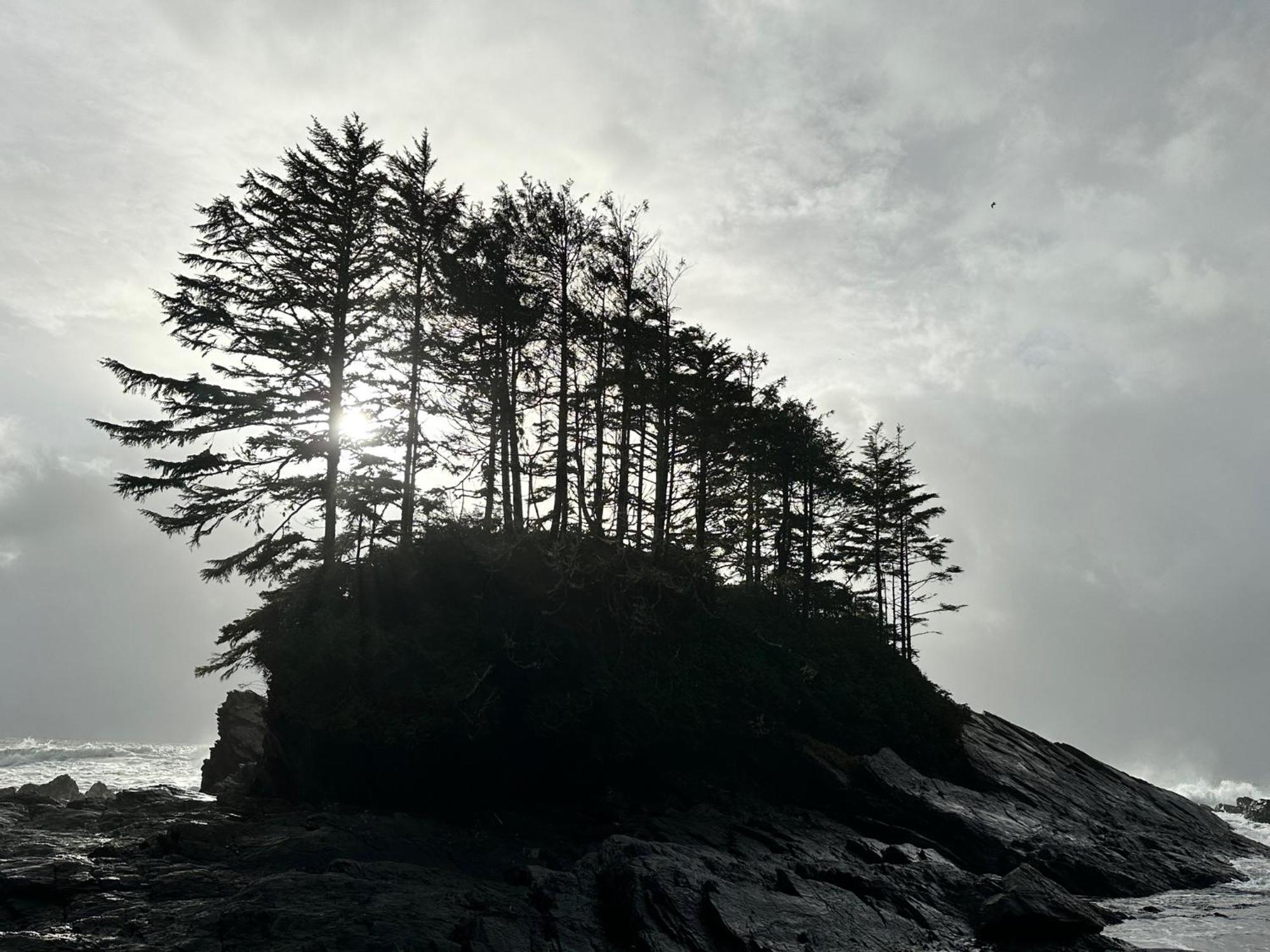Bjorn Holm Port Renfrew Exterior foto