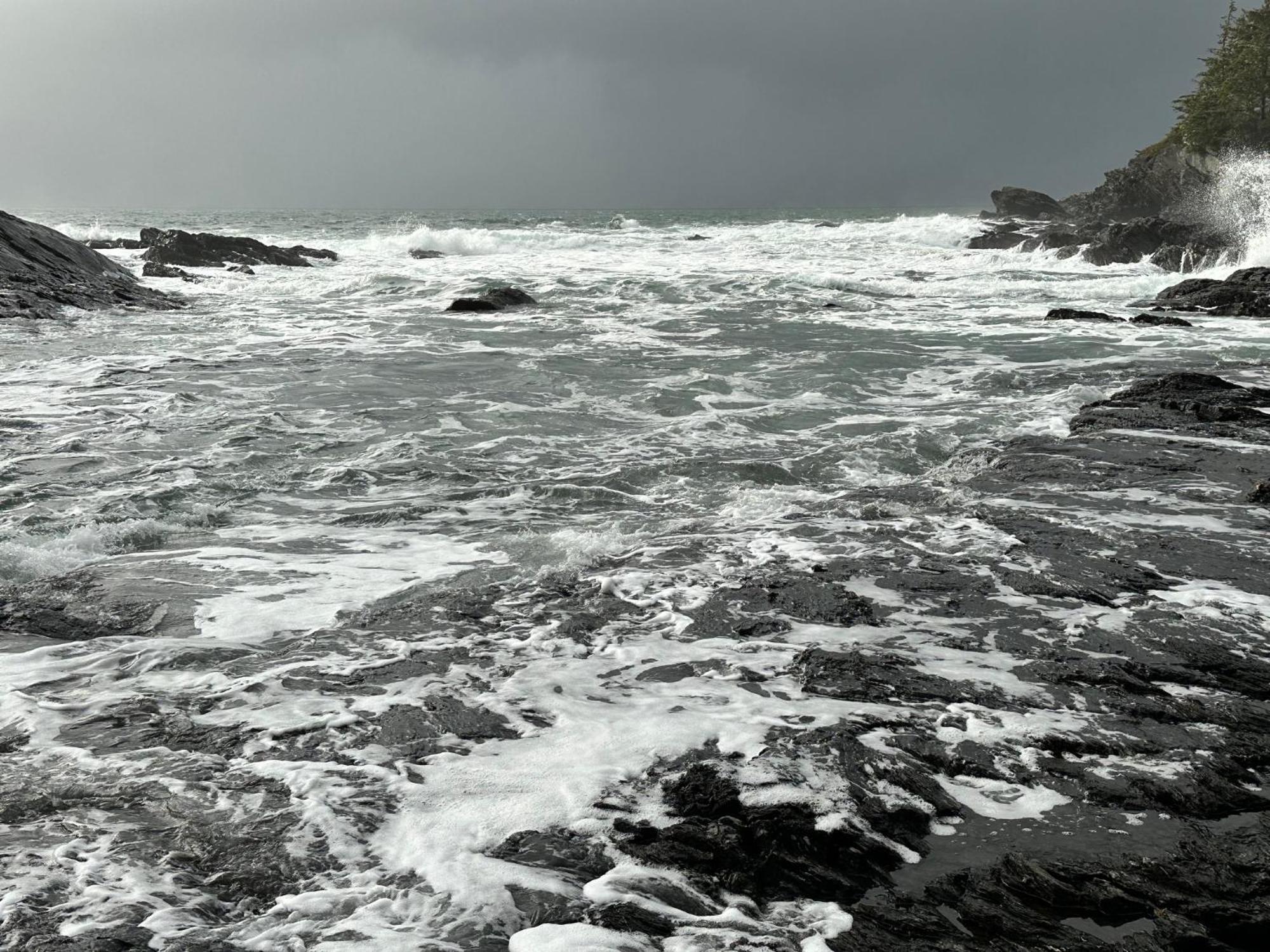 Bjorn Holm Port Renfrew Exterior foto